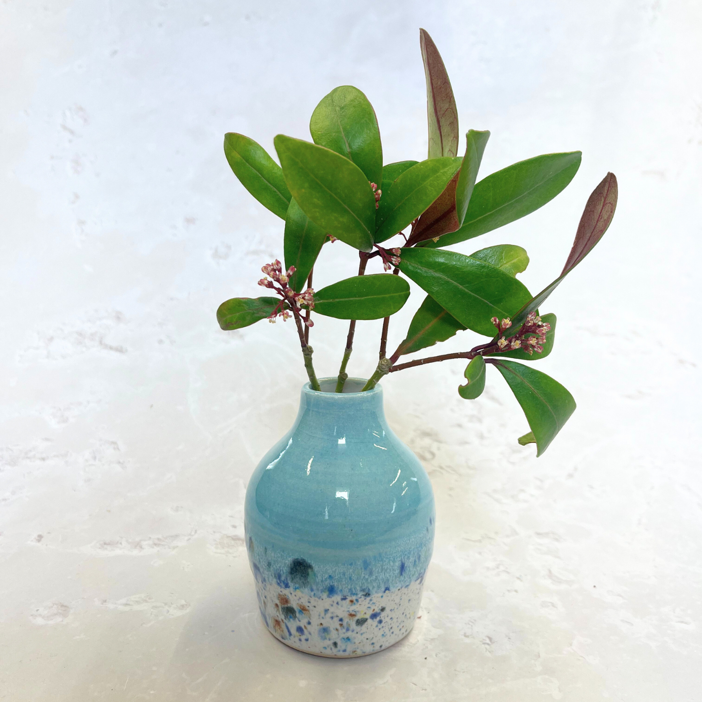 Shoreline Bud Vase