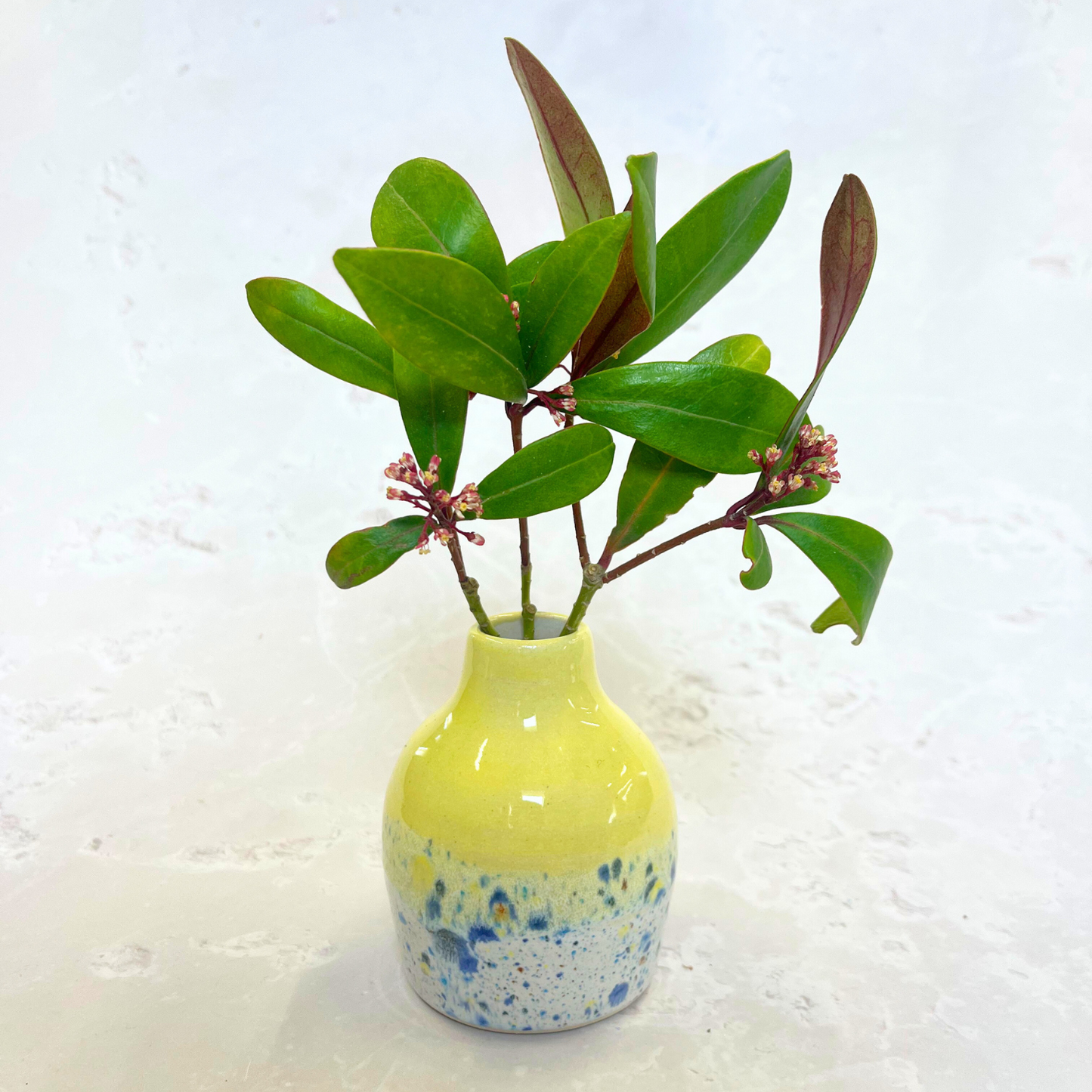 Shoreline Bud Vase