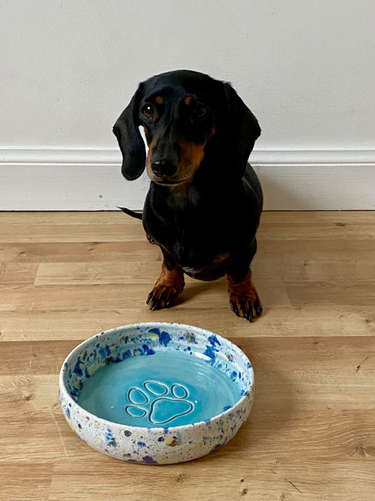 Dog sitting next to a blue dog bowl with paw print design on a wooden floor.