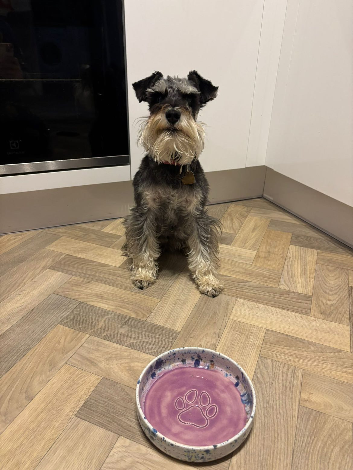 Ella Fletcher Designs Handmade Ceramic Dog Bowl - Dog sitting on a wooden floor next to a pink dog bowl.