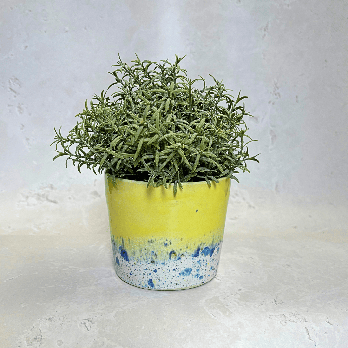 Ella Fletcher Designs Handmade Ceramic Pot in Shoreline Design - plant pot with yellow and multicoloured speckles
