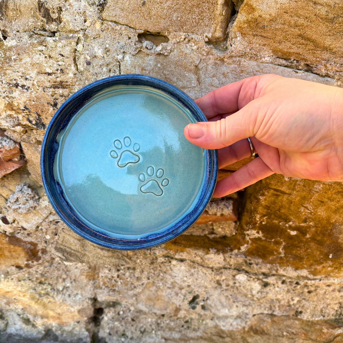 Hand holding a blue ceramic dish with paw prints against a stone wall background