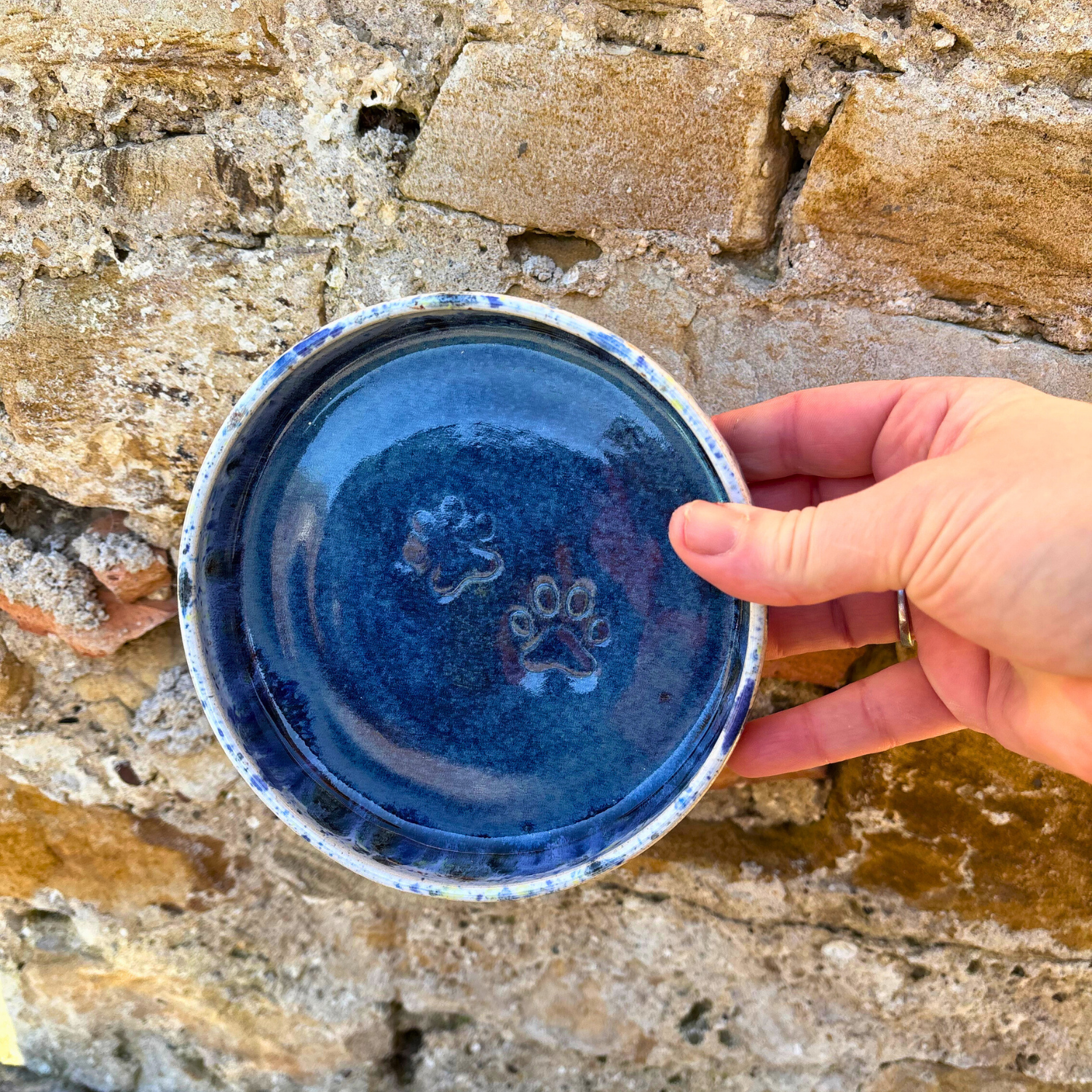 Blue ceramic dish with paw print design held by a hand against a stone wall background
