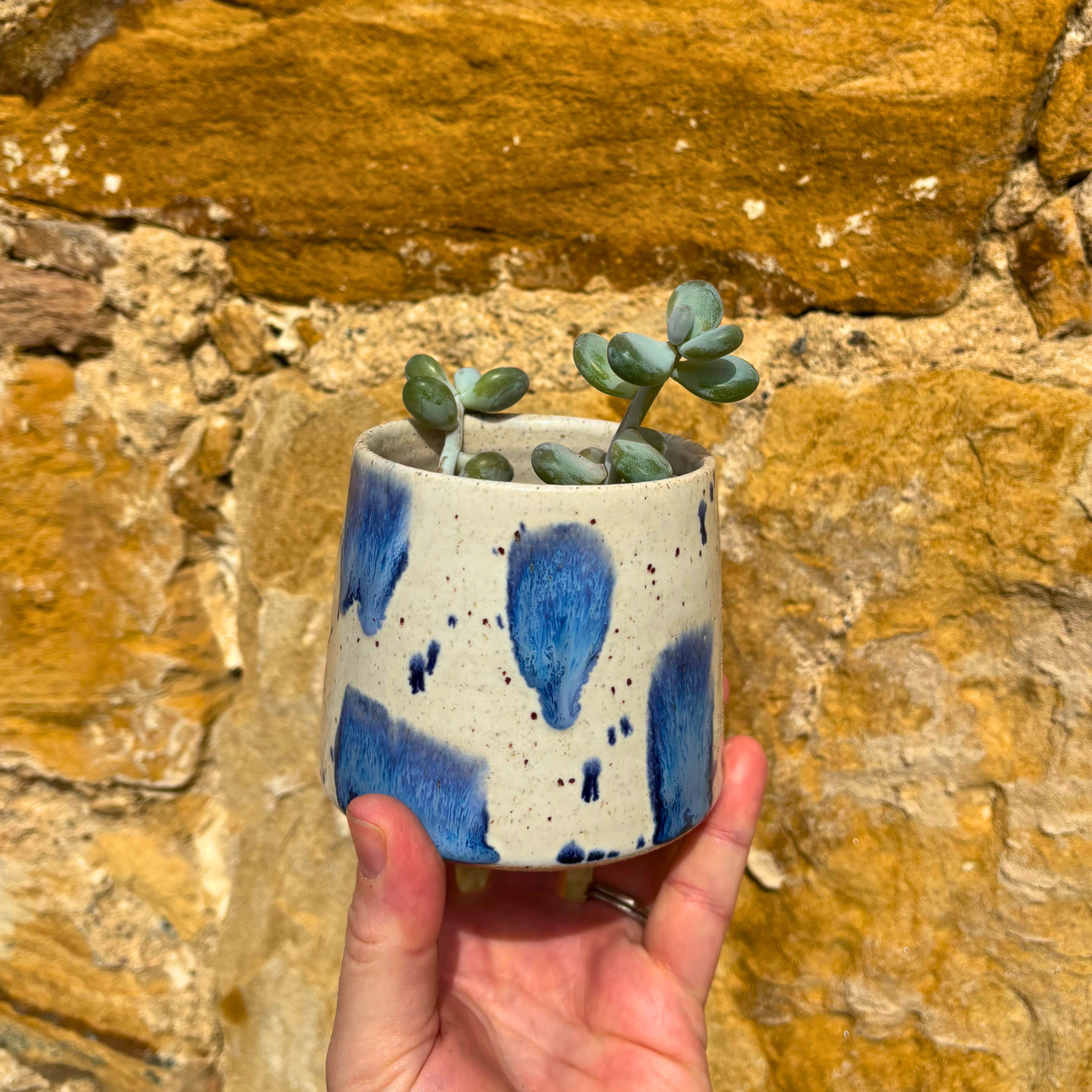 Hand holding a small ceramic pot with blue splashes and green succulents against a stone wall.