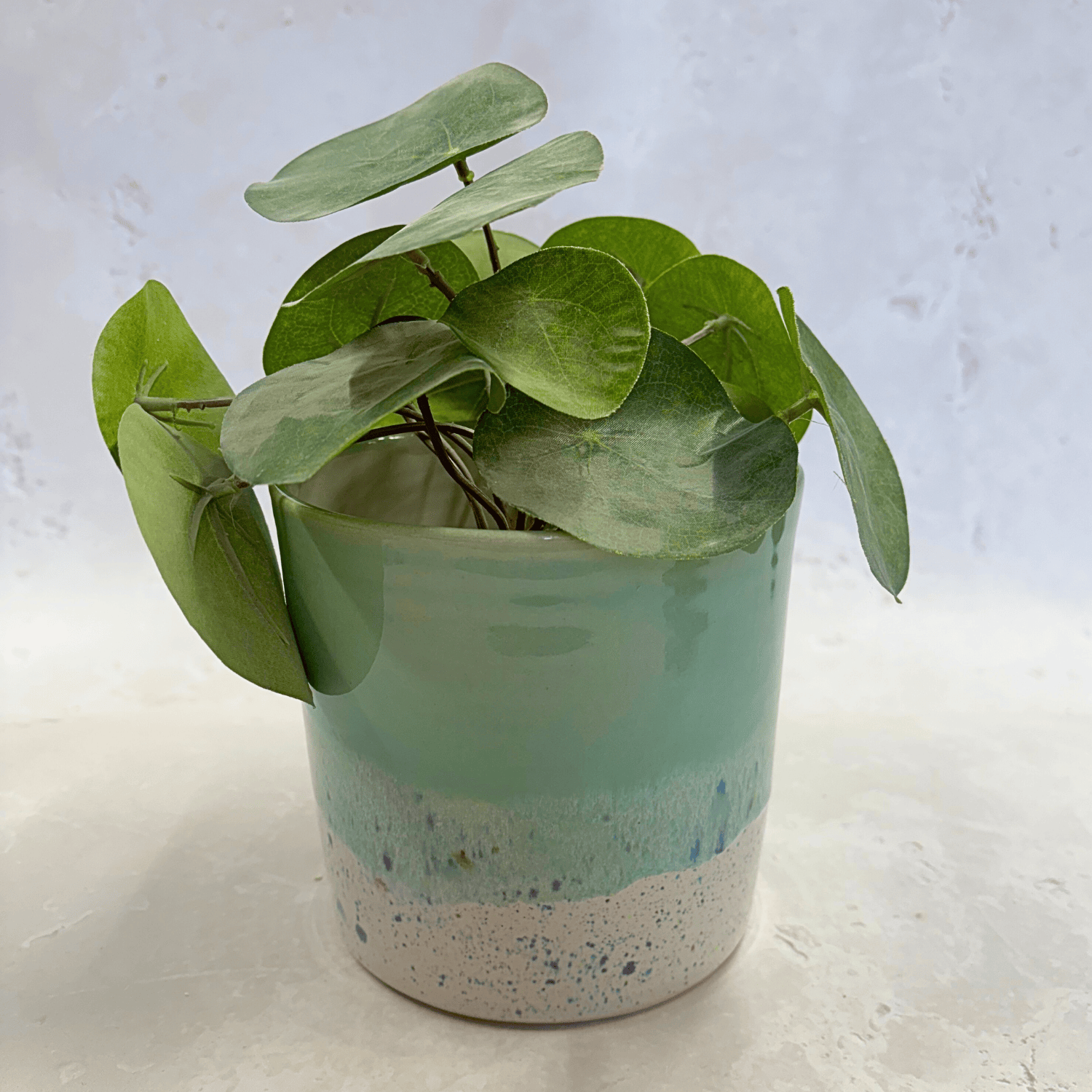 Ella Fletcher Designs Handmade Ceramic Pot in Shoreline Design - plant pot with green and multicoloured speckles