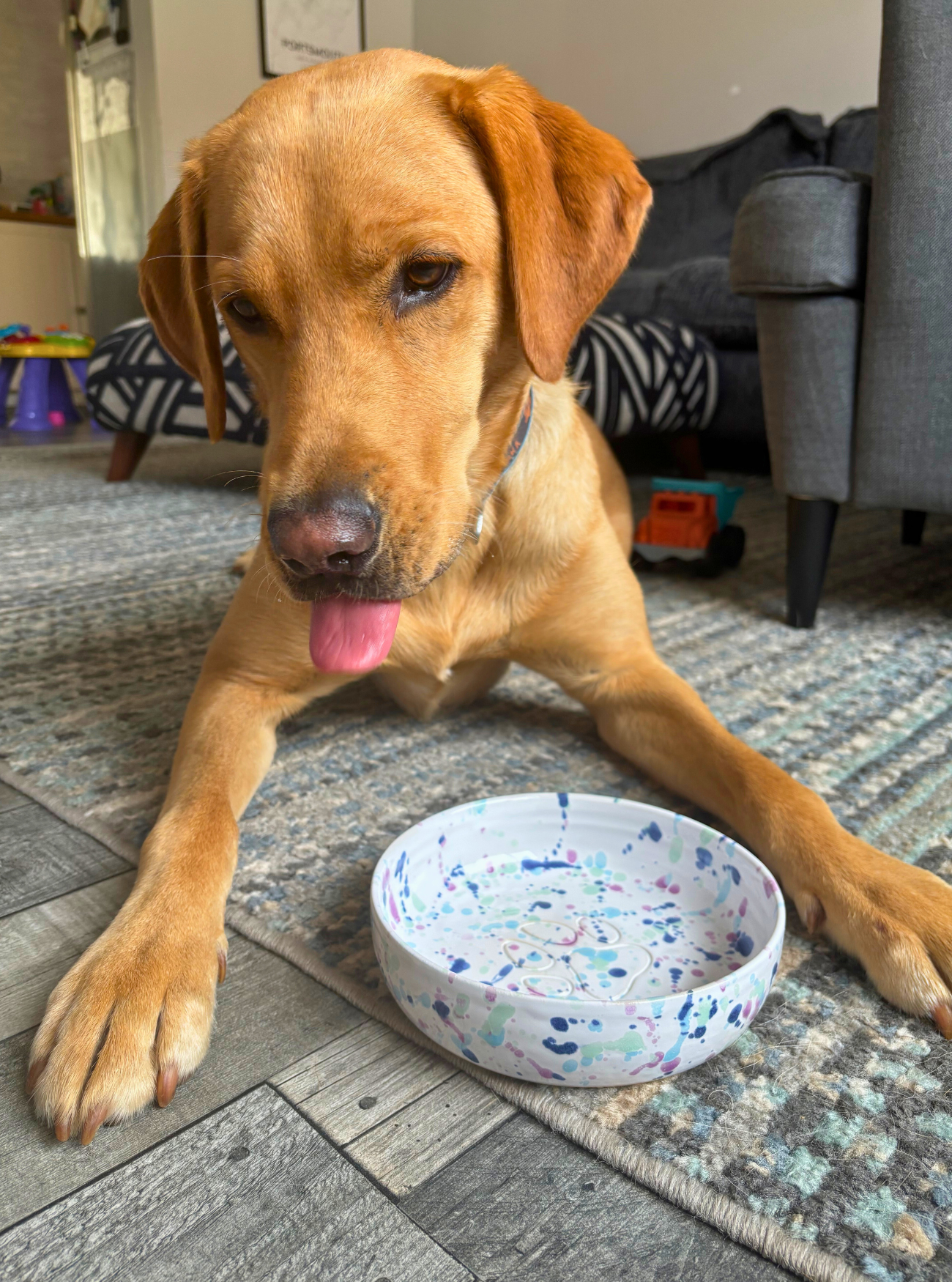 Dog lying on a rug with a colorful handmade ceramic dog bowl in front