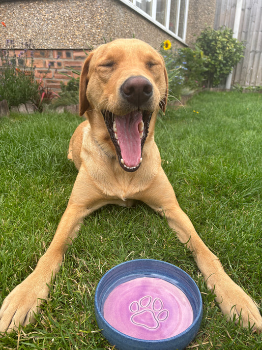 Ella Fletcher Designs Handmade Ceramic Dog Bowl pink landscape design