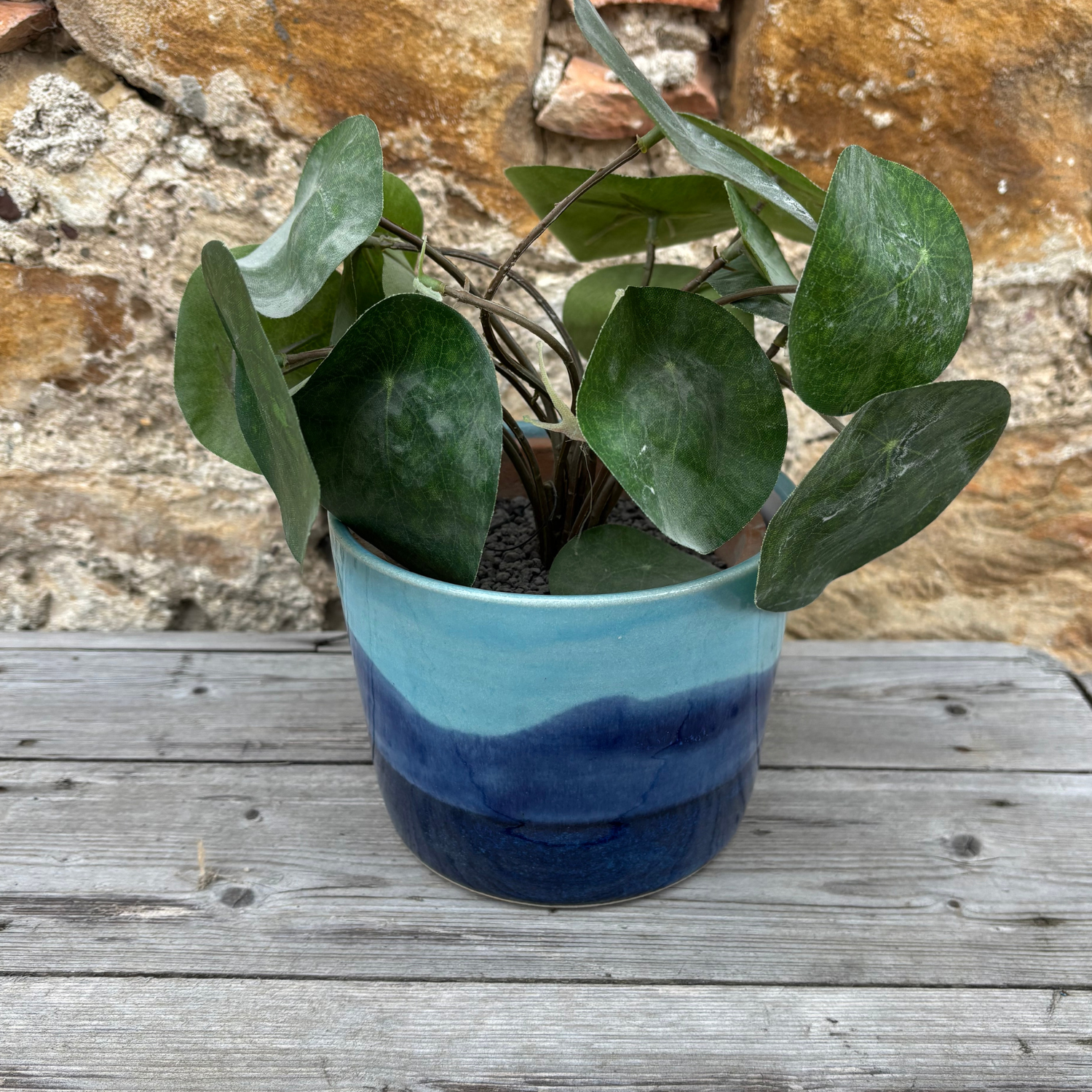 Potted plant with green leaves in a blue and green pot on a wooden surface with a stone wall background