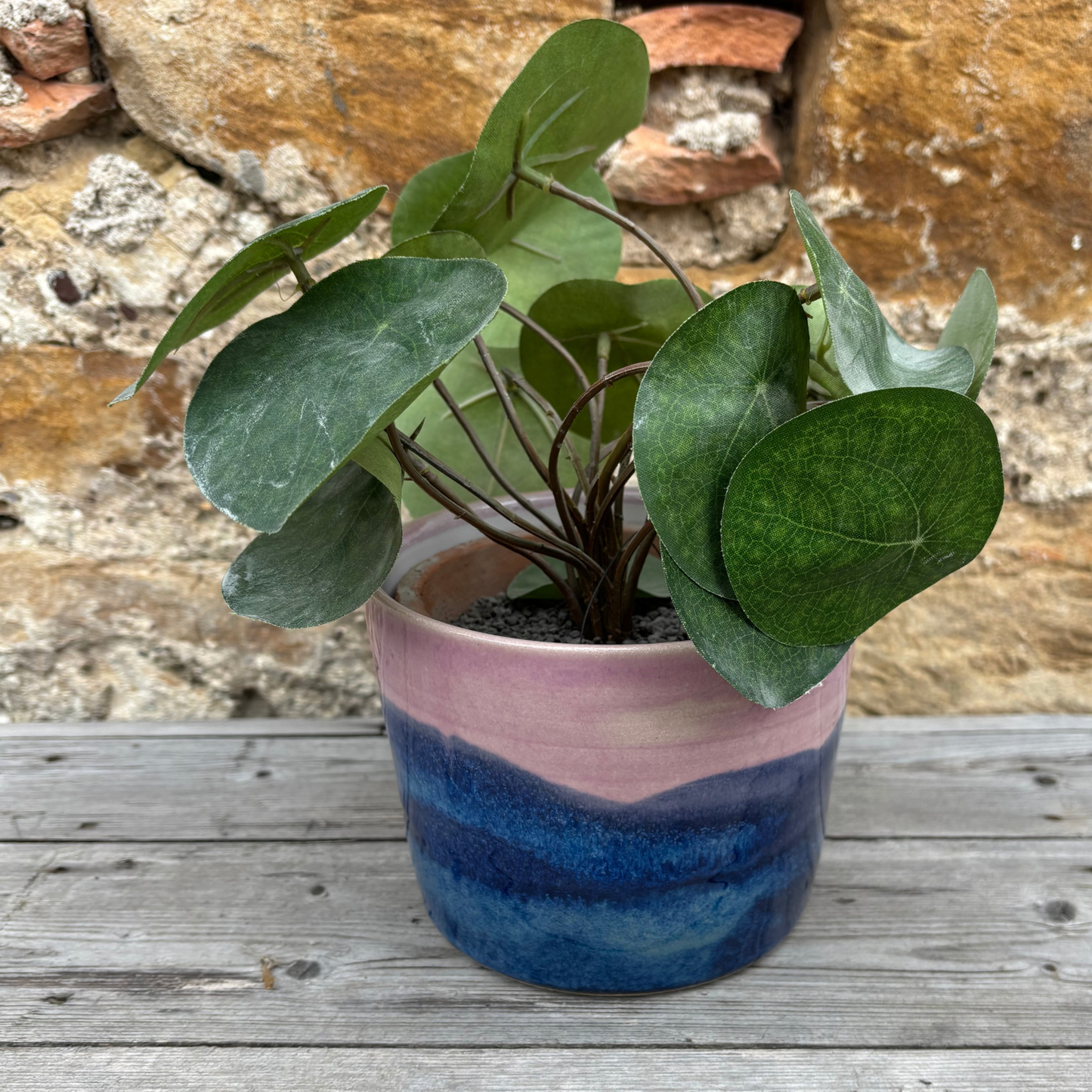 Potted plant with a multicolored pot on a wooden surface against a stone wall.