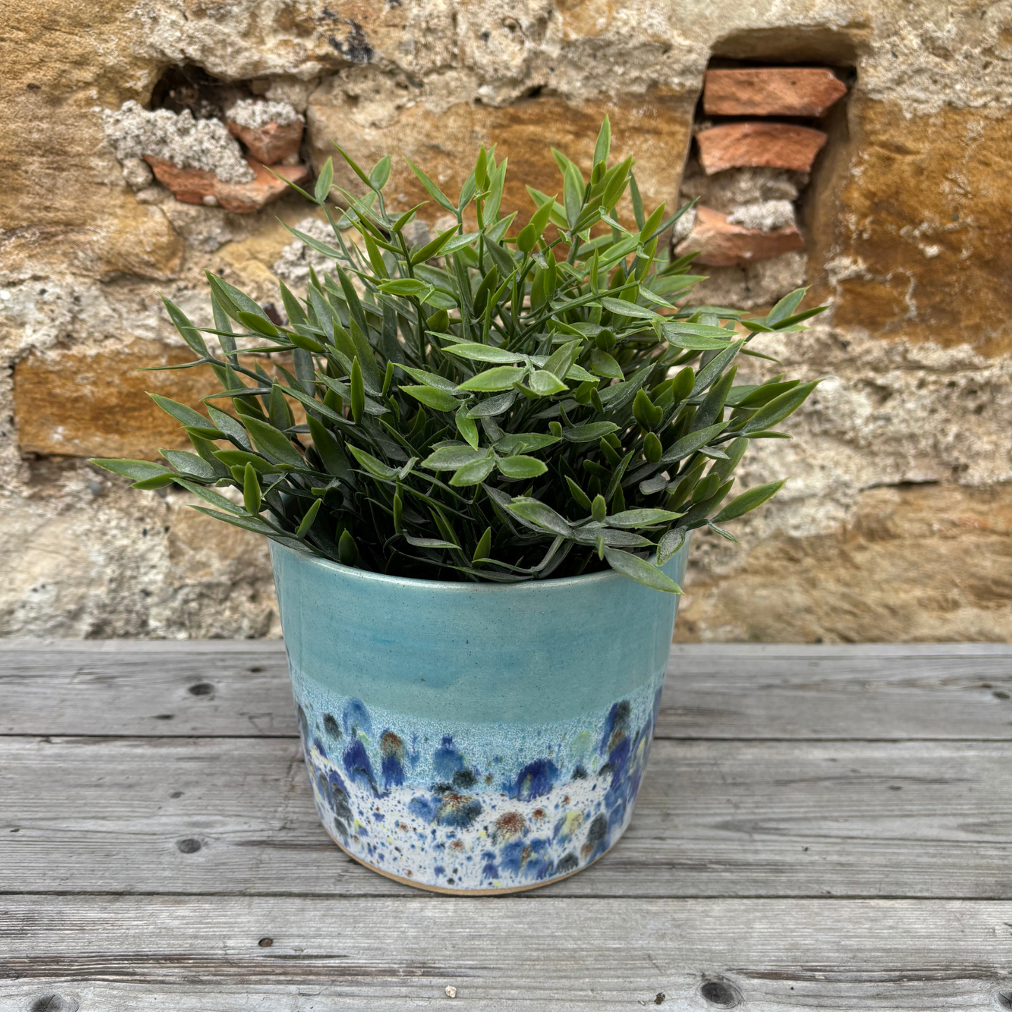 Potted plant in a blue pot on a wooden surface with a stone wall background