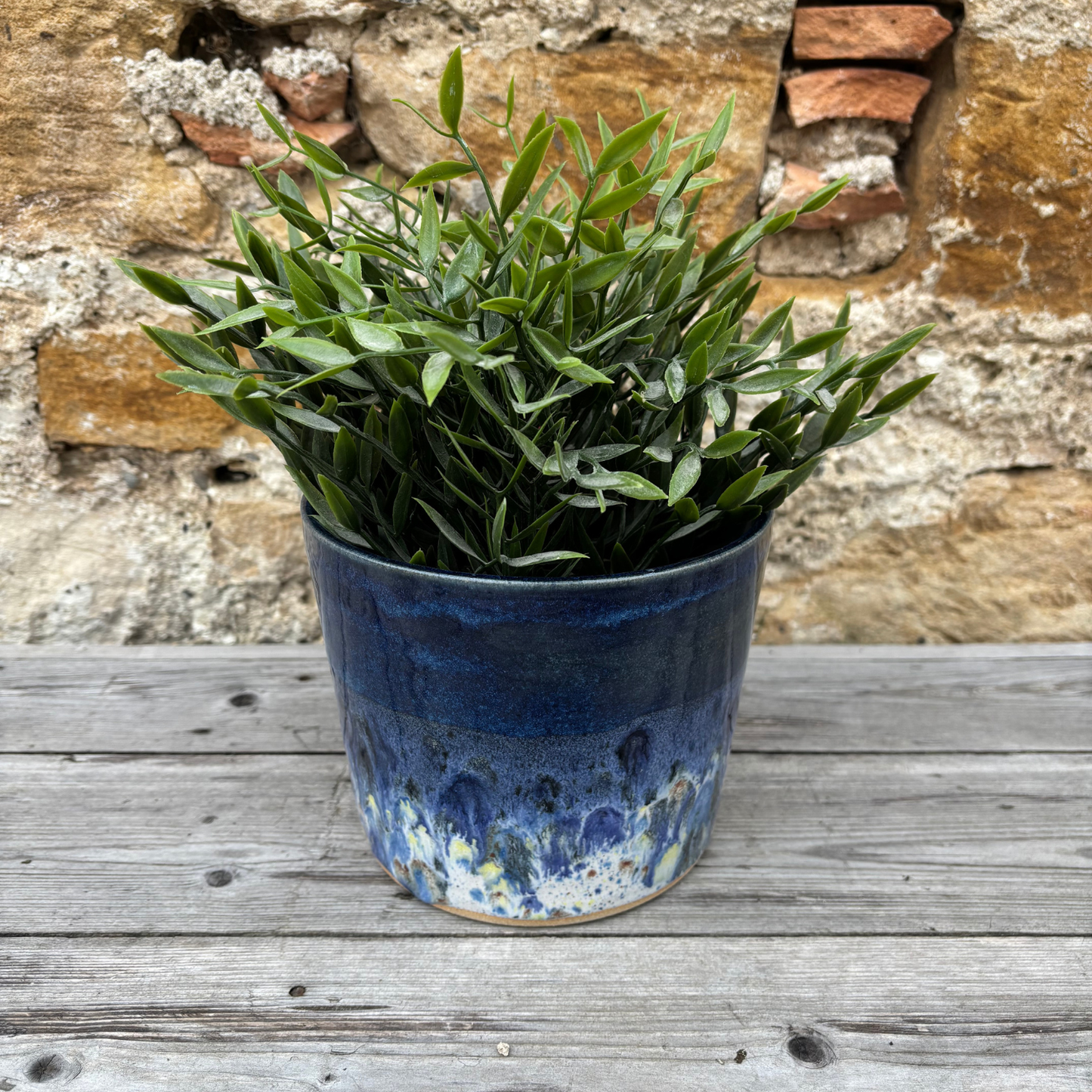 Potted plant in a blue pot on a wooden surface with a stone wall background