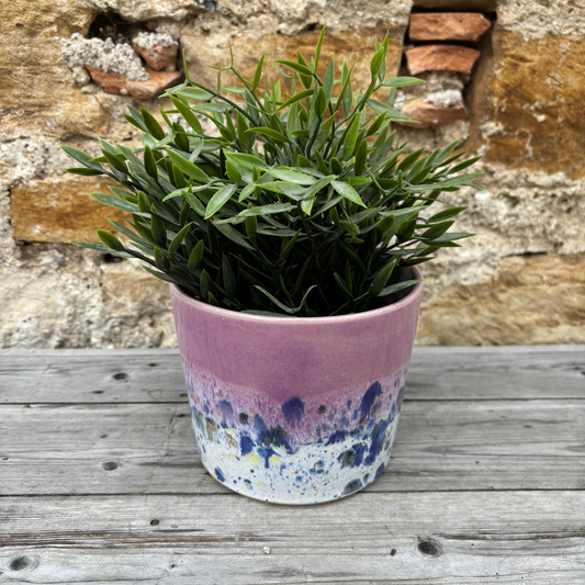 Potted plant in a colorful ceramic pot on a wooden surface with a stone wall background