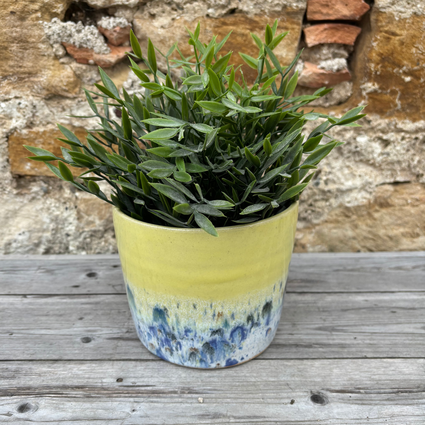 Potted plant in a yellow and blue pot on a wooden surface with a stone wall background