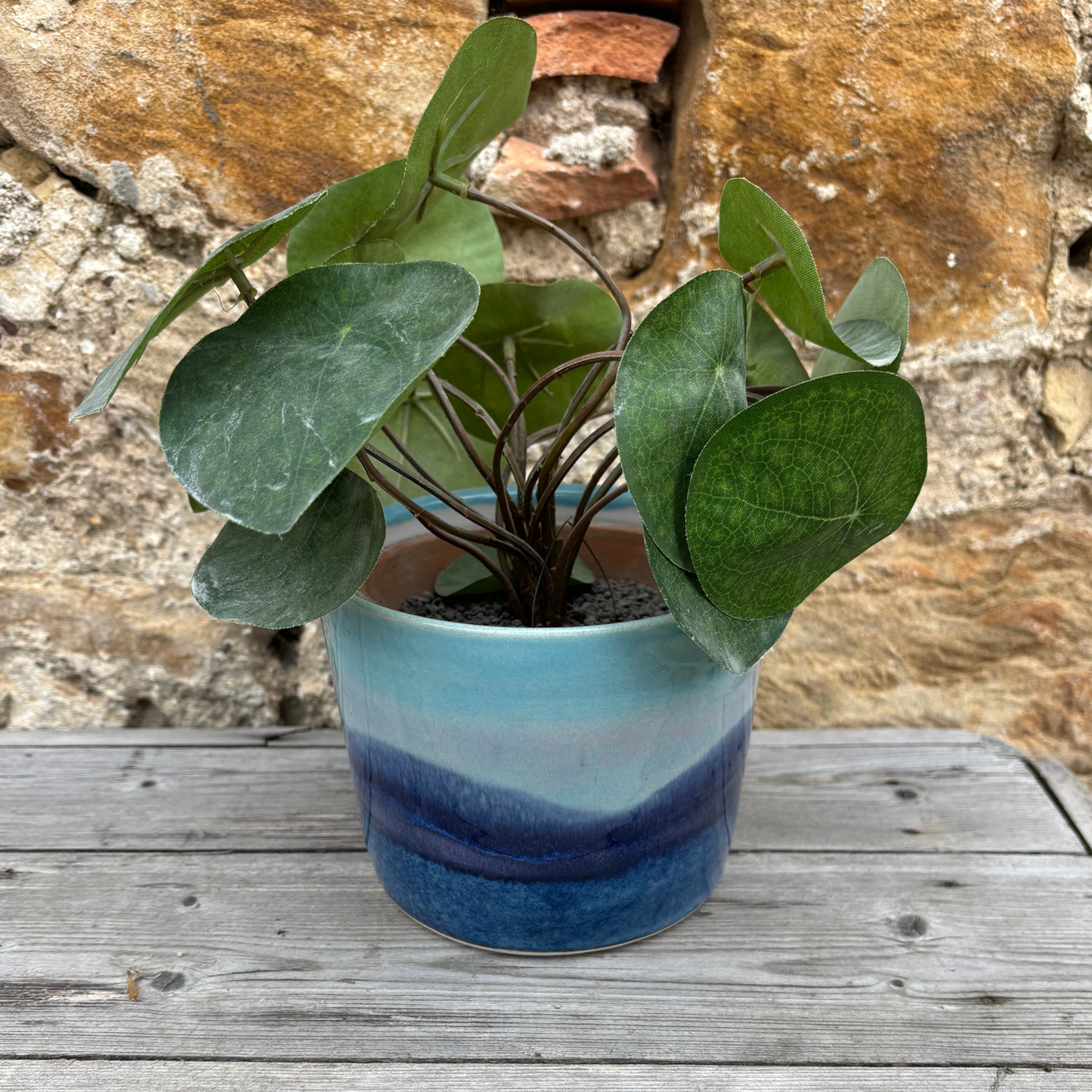 Potted plant with green leaves in a blue pot on a wooden surface with a stone wall background