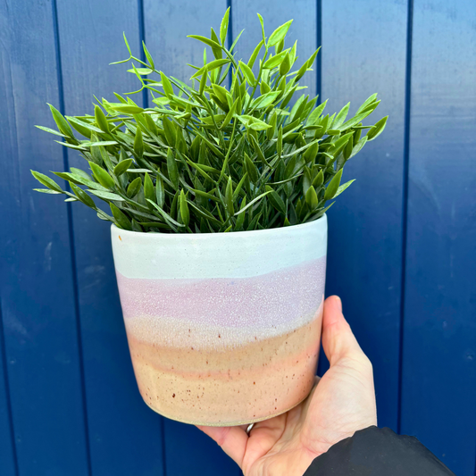 Ice Cream Sundae Large Pot