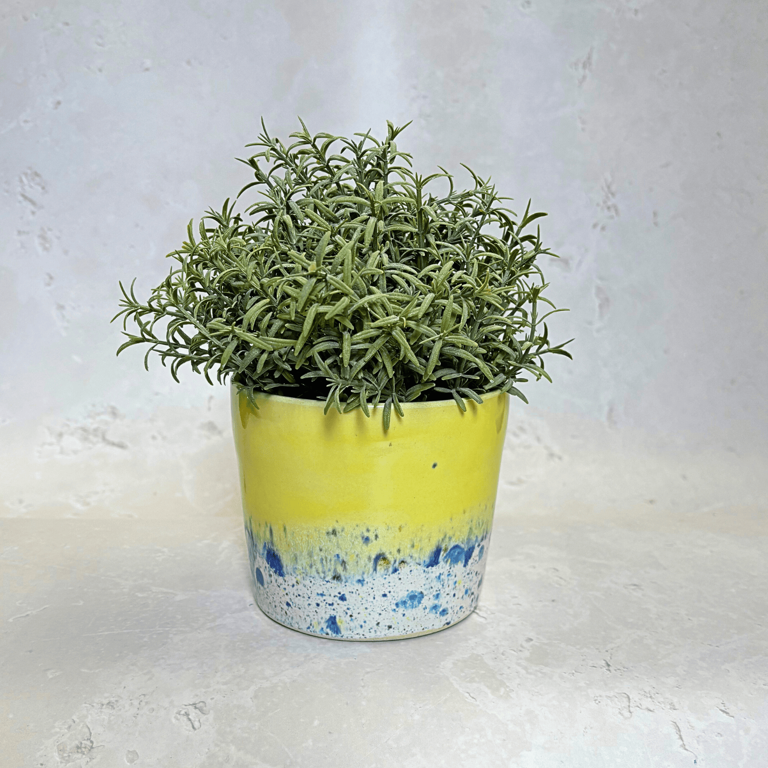Ella Fletcher Designs Handmade Ceramic Pot in Shoreline Design - plant pot with yellow and multicoloured speckles